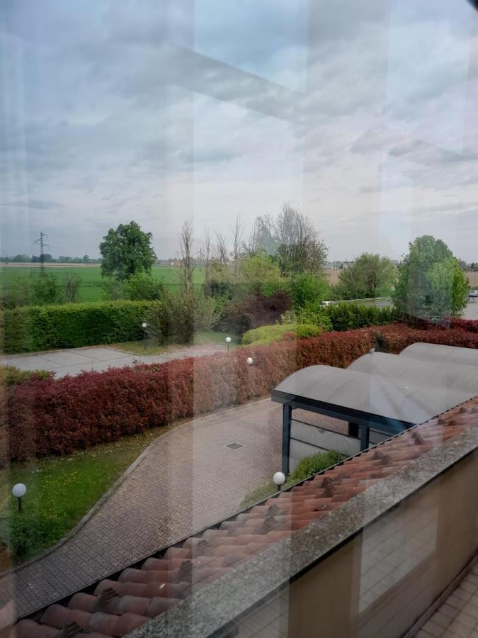 Elysium Raya Mediglia